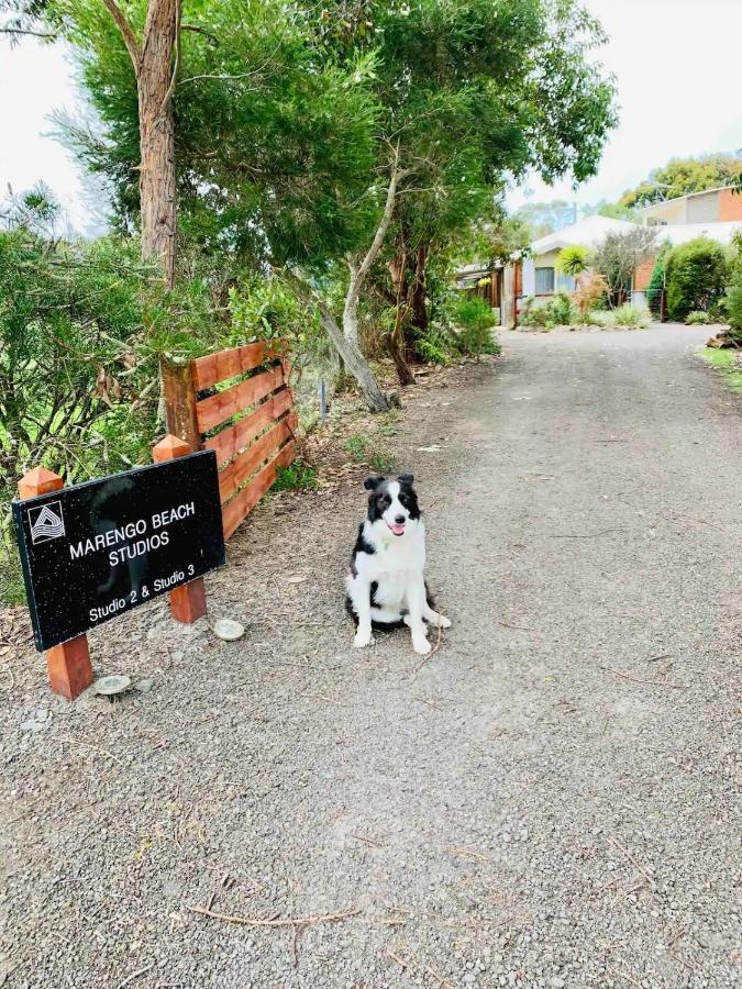 Marengo Beach Studios- Pet Friendly Buitenkant foto